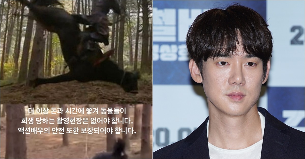 Yoo Yeon Seok Made A Statement Regarding The Controversy Over The Abused Horse Says “We need to get rid of filming sites where animals have to sacrifice”