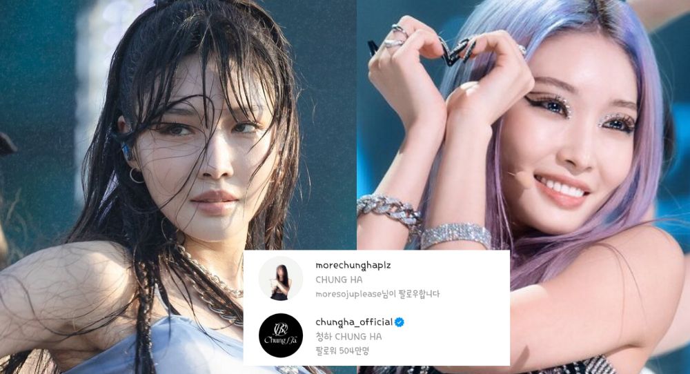 Chung Ha's Departure Sparks Fan Outrage as Ex-Agency Holds Back Online Accounts and Fan Name