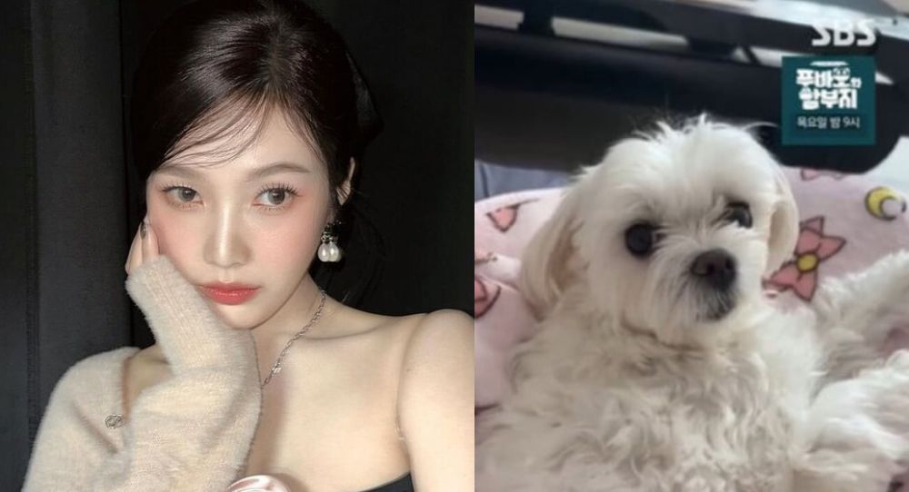 Red Velvet's Joy says she and her pet dog Haetnim have a similar MBTI?