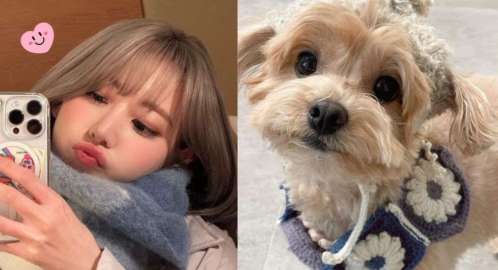 "That's just precious" — LE SSERAFIM's Sakura handcrafts adorable hat and scarf for Yoon Do Hyun's dog