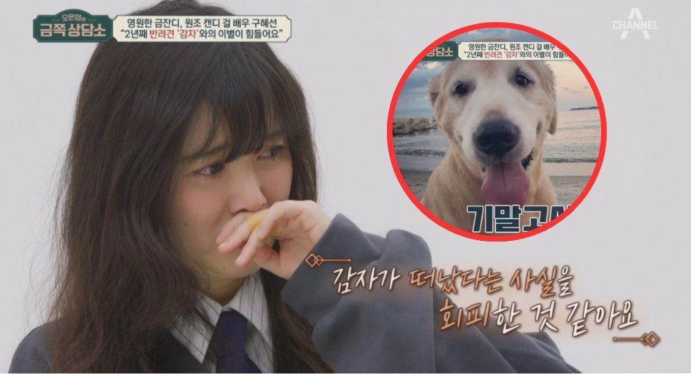 Actress Goo Hye Sun shares heartache over losing pets on 'Dr. Oh's Golden Clinic'