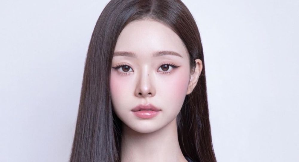 "Is This Her Passport Photo?" Song Jia's Passport Photo Stuns Fans with Doll-Like Beauty