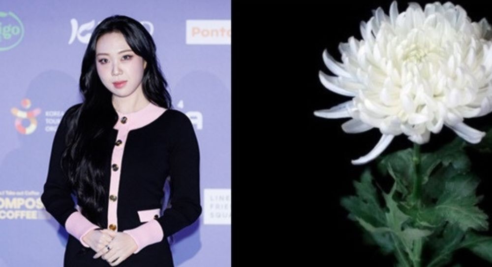 Lee Young Ji Steps Up with a Heartfelt Donation for Jeju Air Tragedy Victims: "My Small Support for Their Immense Sorrow"