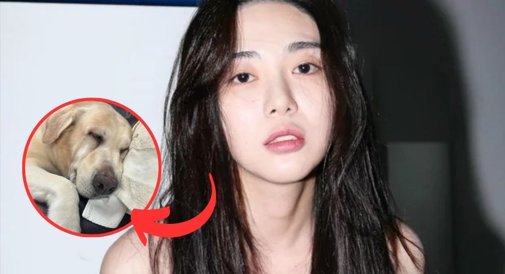 Kwon Mina Struggles with Heart-Wrenching Cancer News for Her Dog—Fans Are Heartbroken