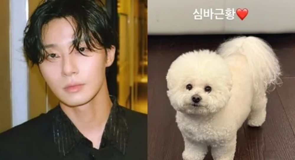 Park Seo Joon Shuts Down ‘Attack on Kim Soo Hyun’ Rumors With Cute Update about His Pet Instead